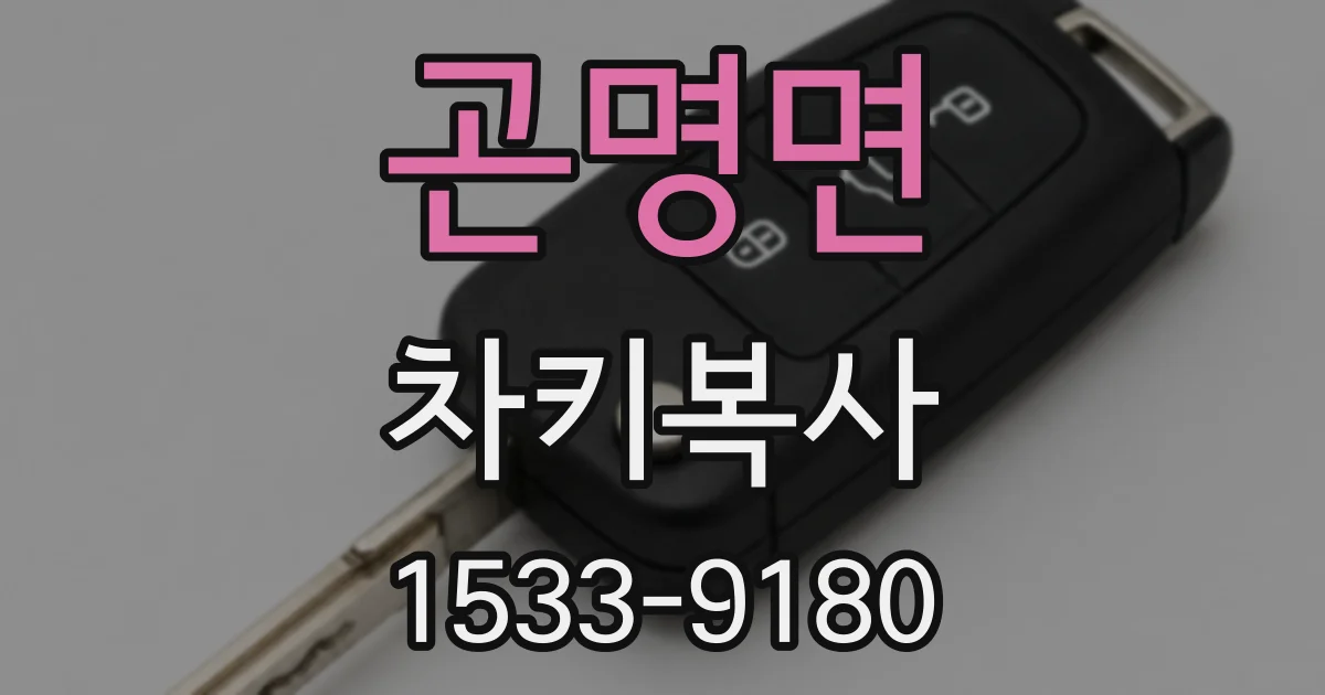 곤명면 차키복사