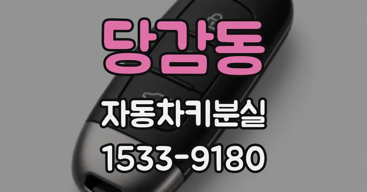 당감동 자동차키분실