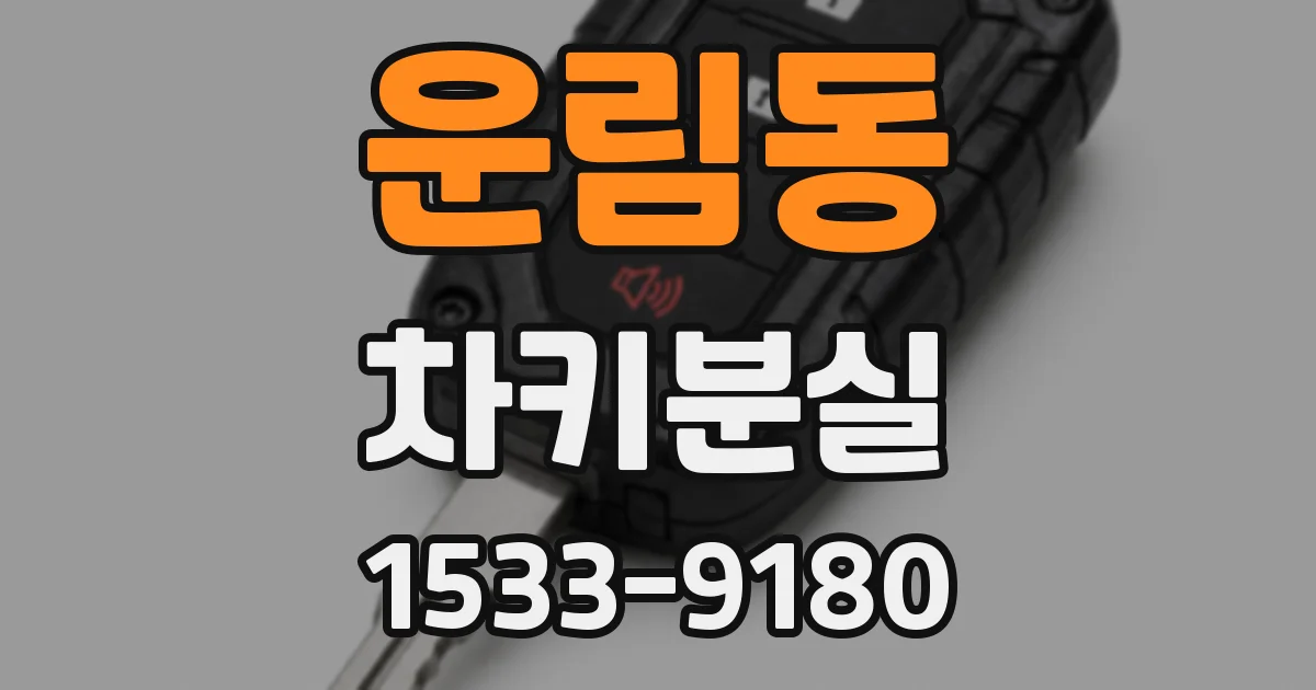 운림동 차키분실