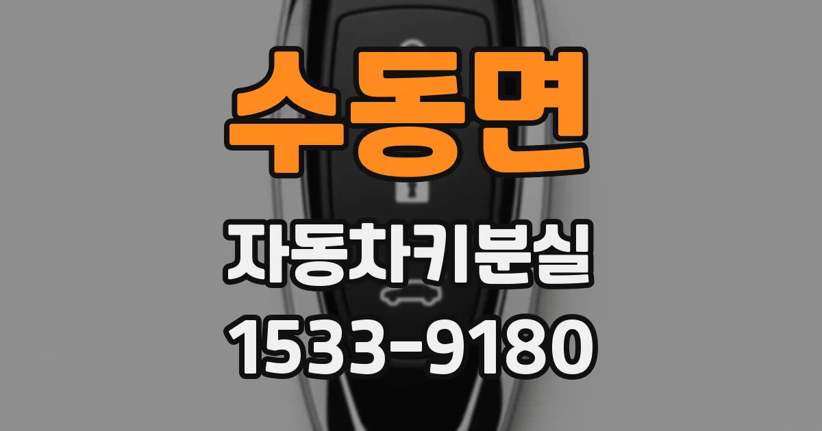 수동면 자동차키분실