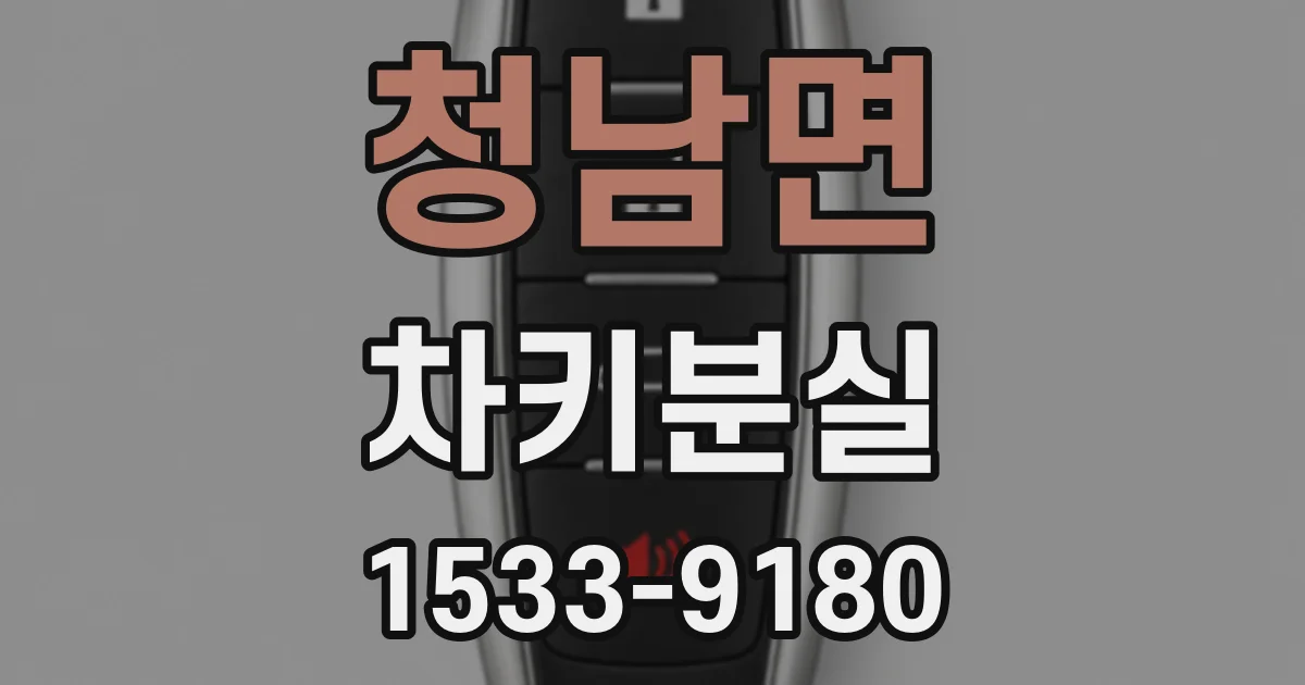 청남면 차키분실