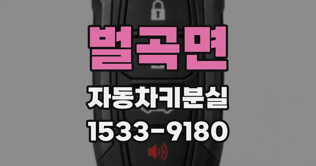 벌곡면 자동차키분실