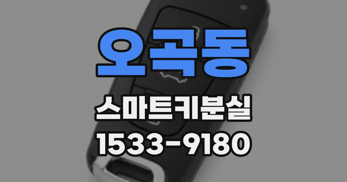 오곡동 스마트키분실
