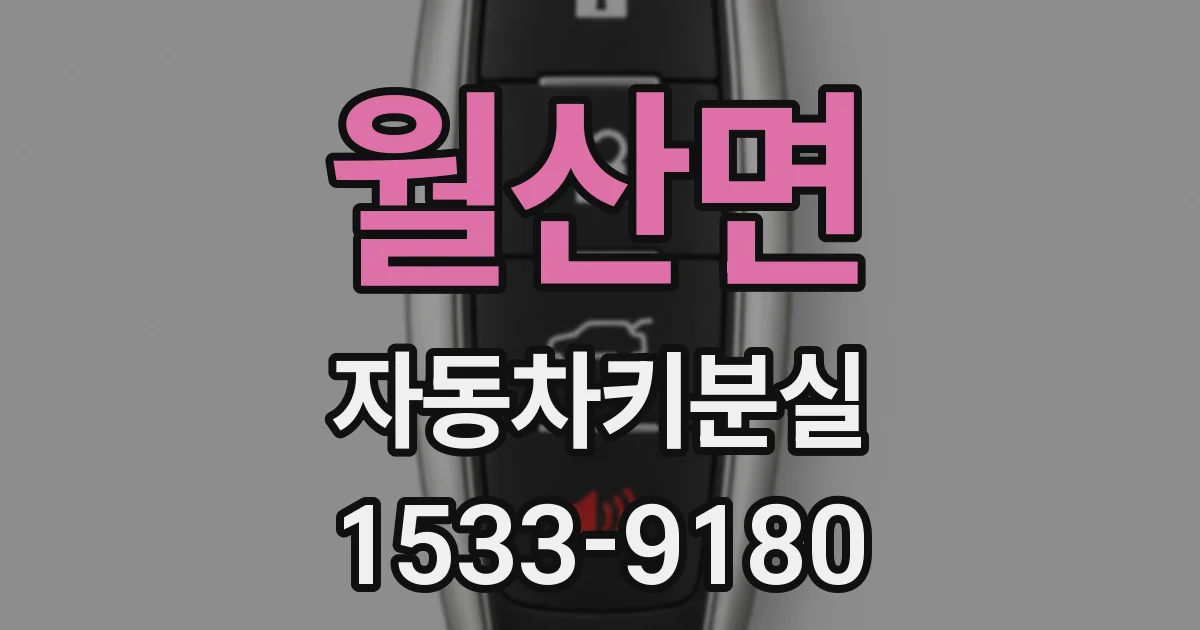 월산면 자동차키분실