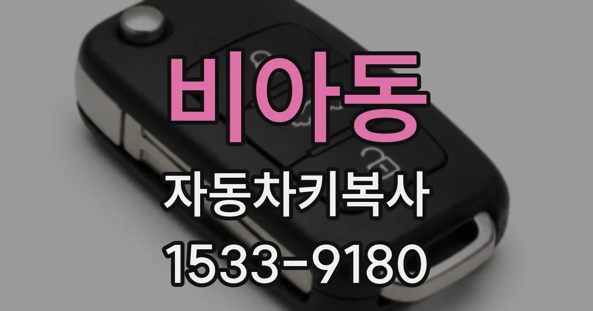 비아동 자동차키복사