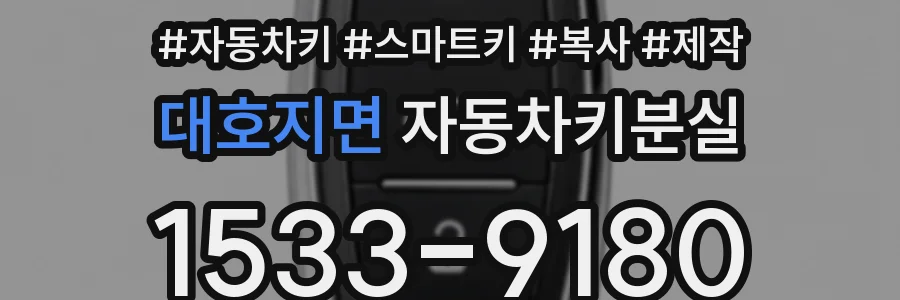 대호지면 자동차키분실