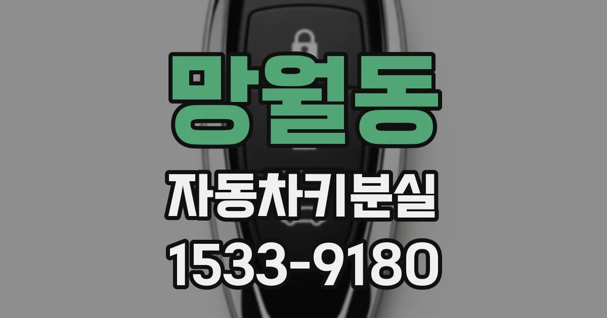 망월동 자동차키분실