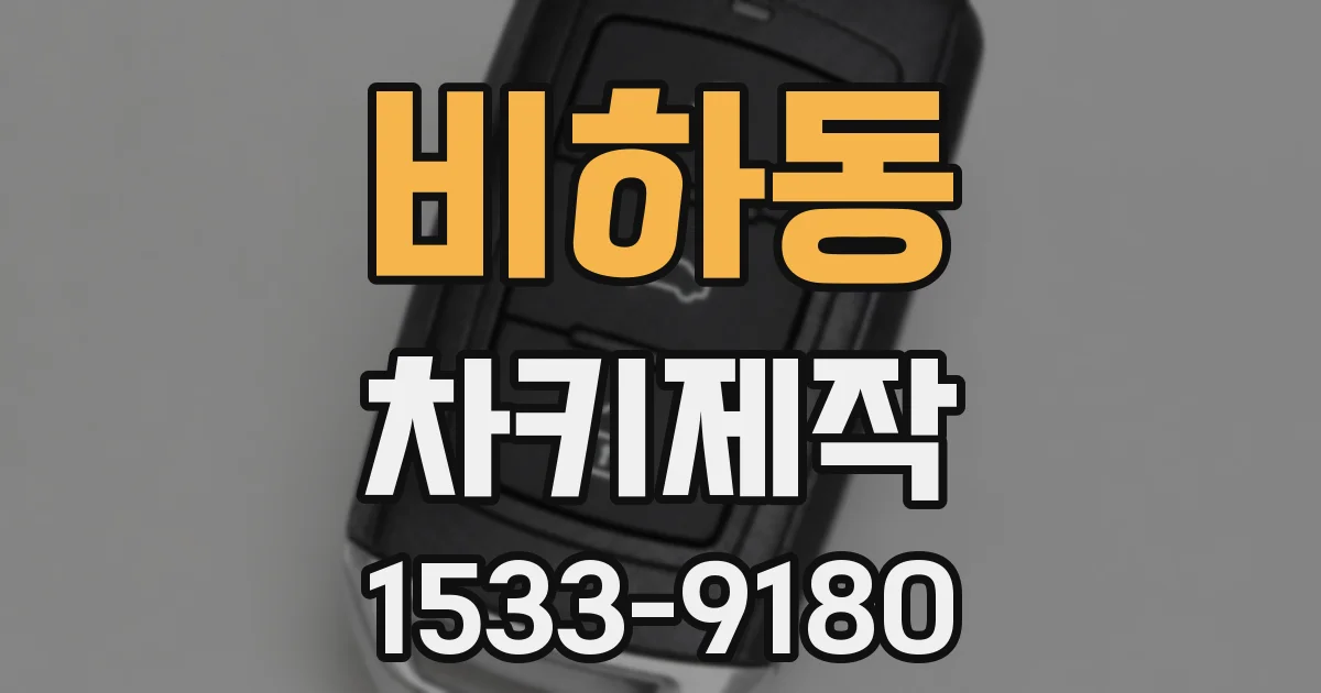 비하동 차키제작