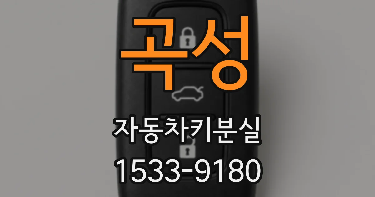 곡성 자동차키분실