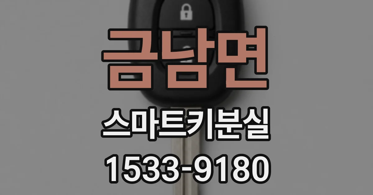 금남면 스마트키분실