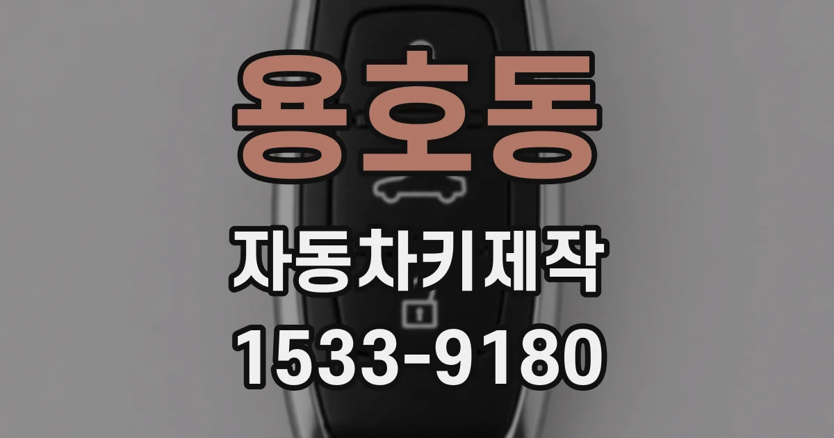 용호동 자동차키제작