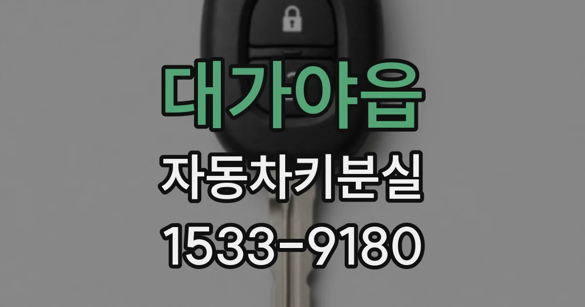 대가야읍 자동차키분실