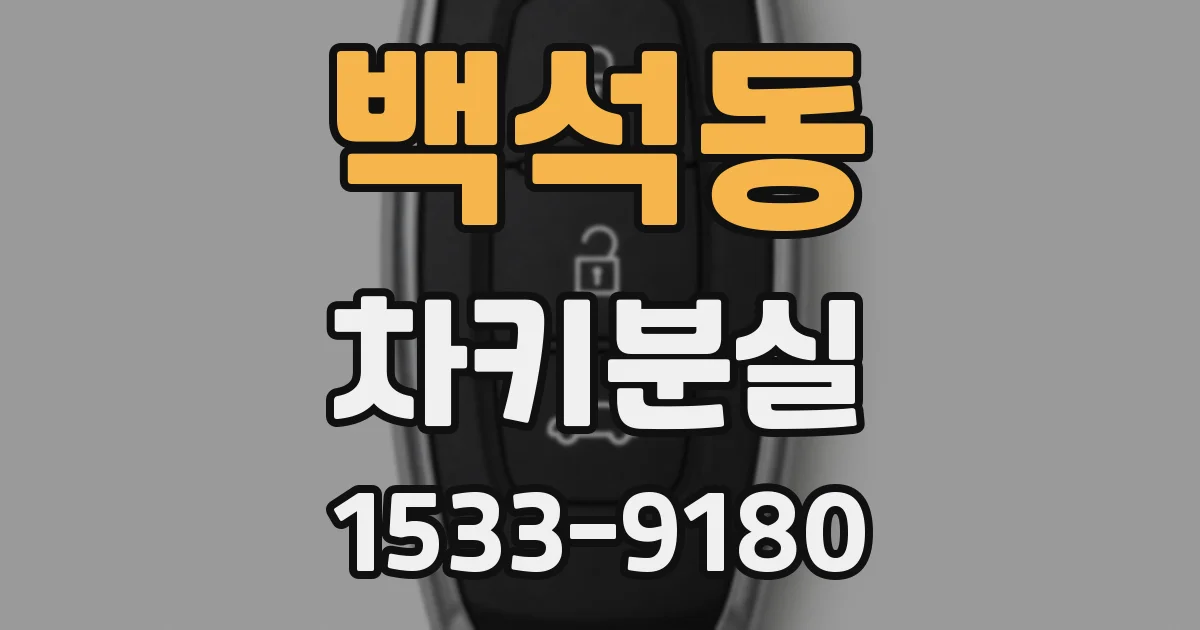 백석동 차키분실