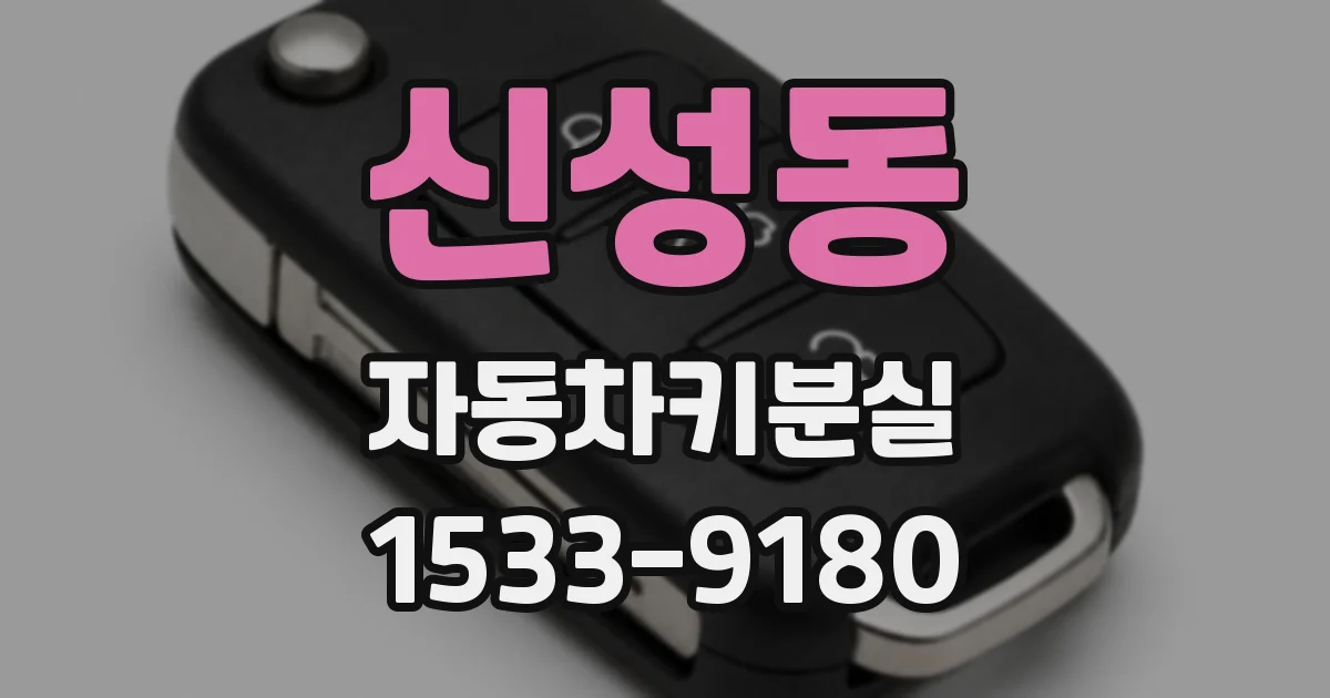 신성동 자동차키분실
