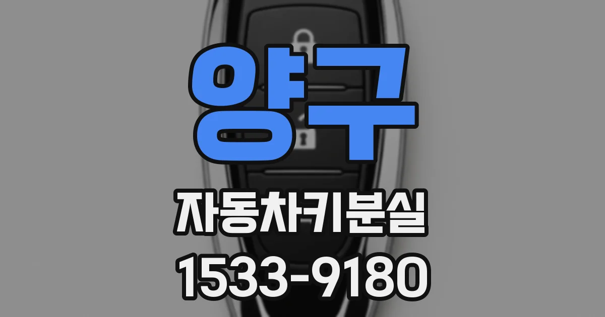 양구 자동차키분실