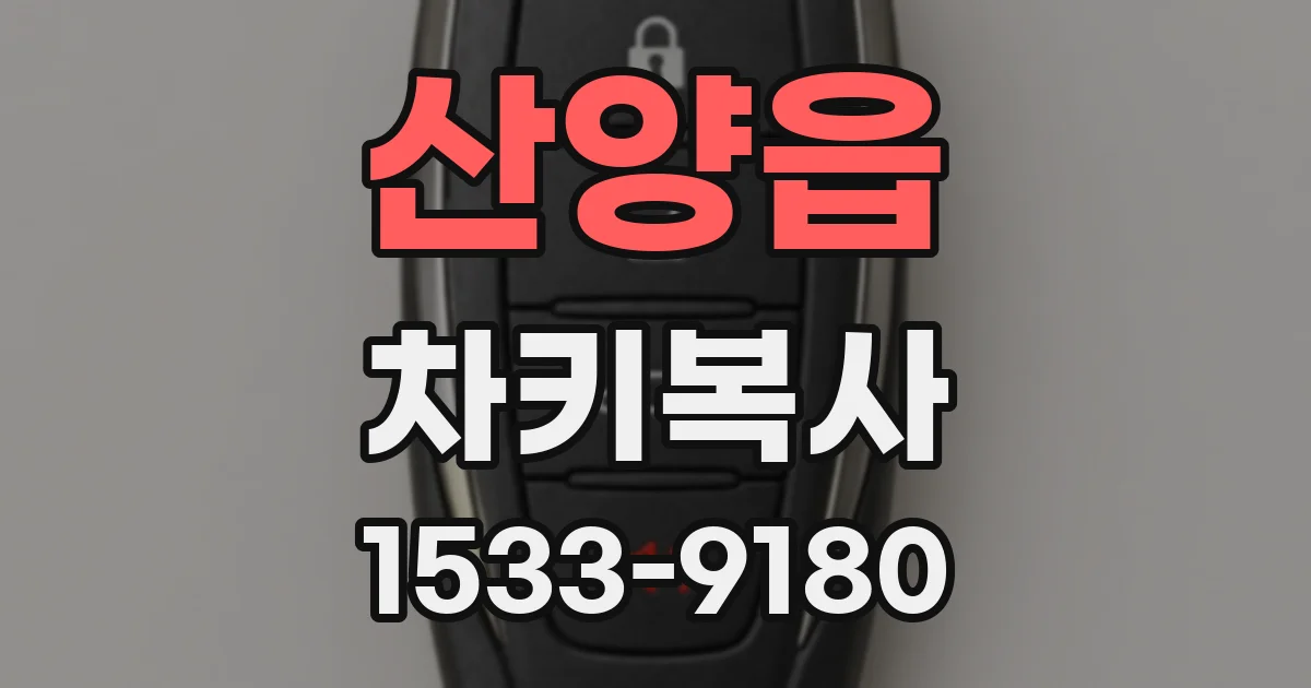 산양읍 차키복사