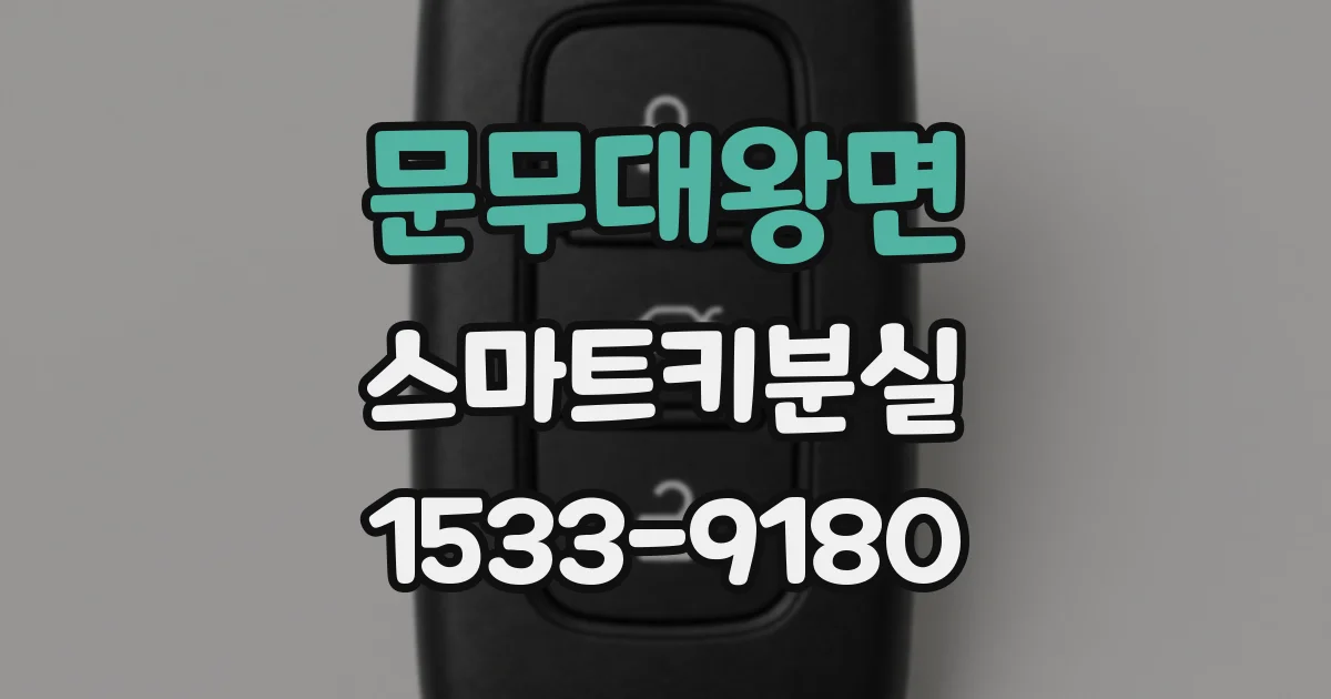 문무대왕면 스마트키분실
