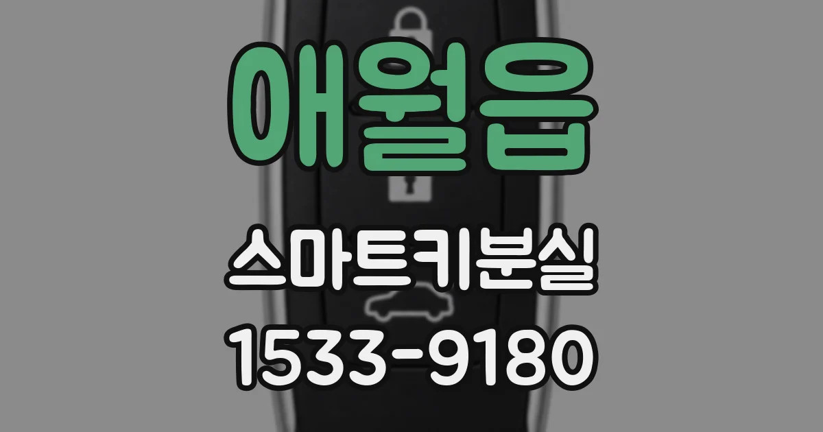 애월읍 스마트키분실
