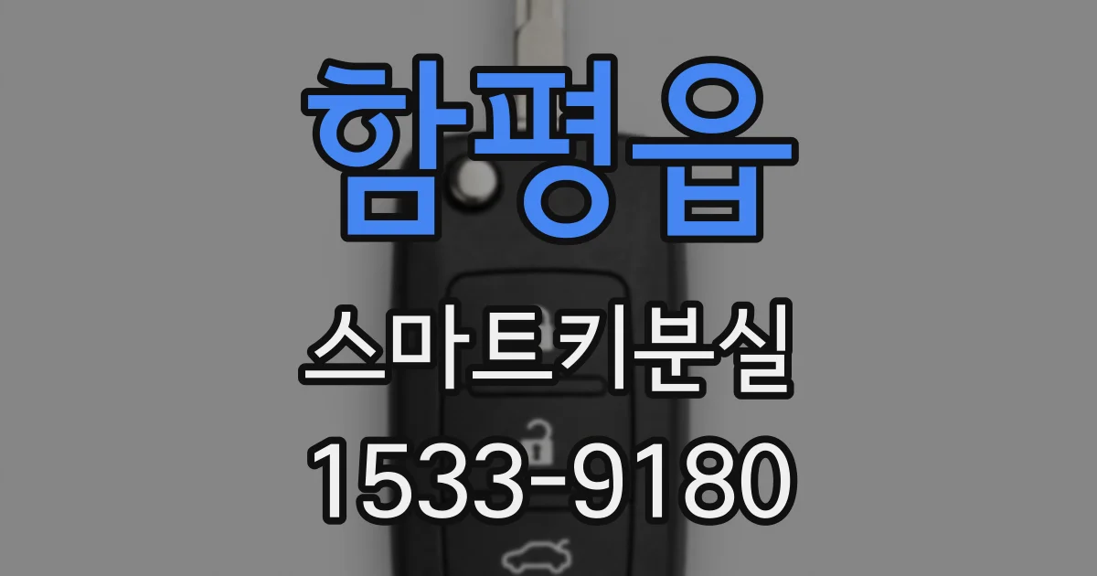 함평읍 스마트키분실