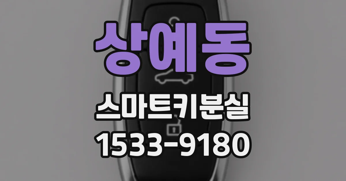 상예동 스마트키분실