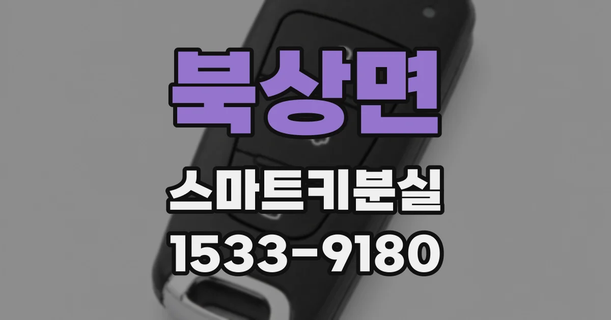 북상면 스마트키분실