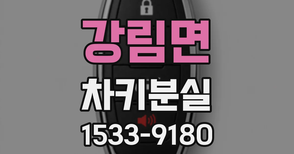 강림면 차키분실