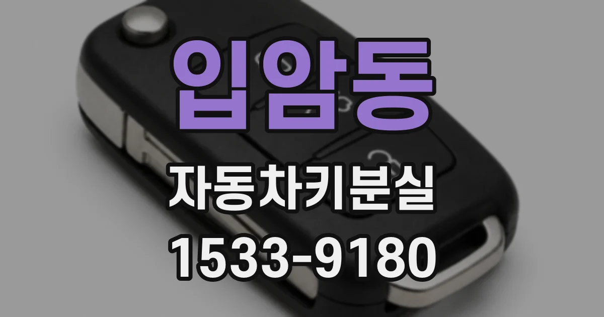 입암동 자동차키분실