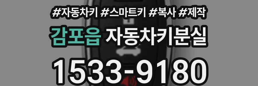 감포읍 자동차키분실