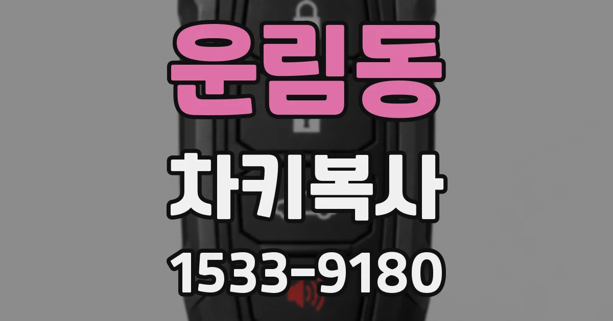 운림동 차키복사