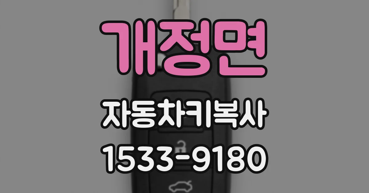 개정면 자동차키복사