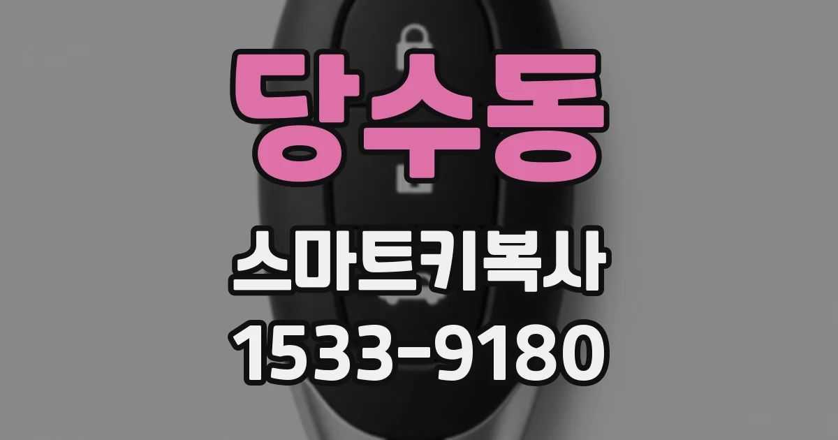 당수동 스마트키복사