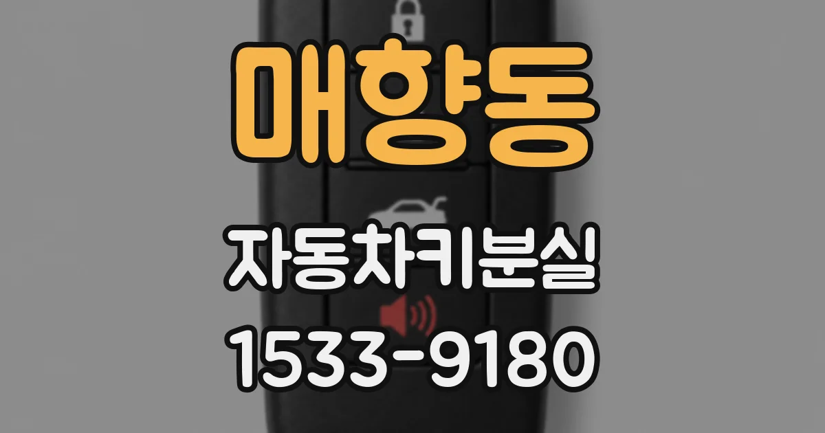매향동 자동차키분실