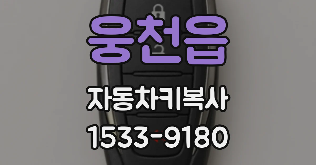 웅천읍 자동차키복사