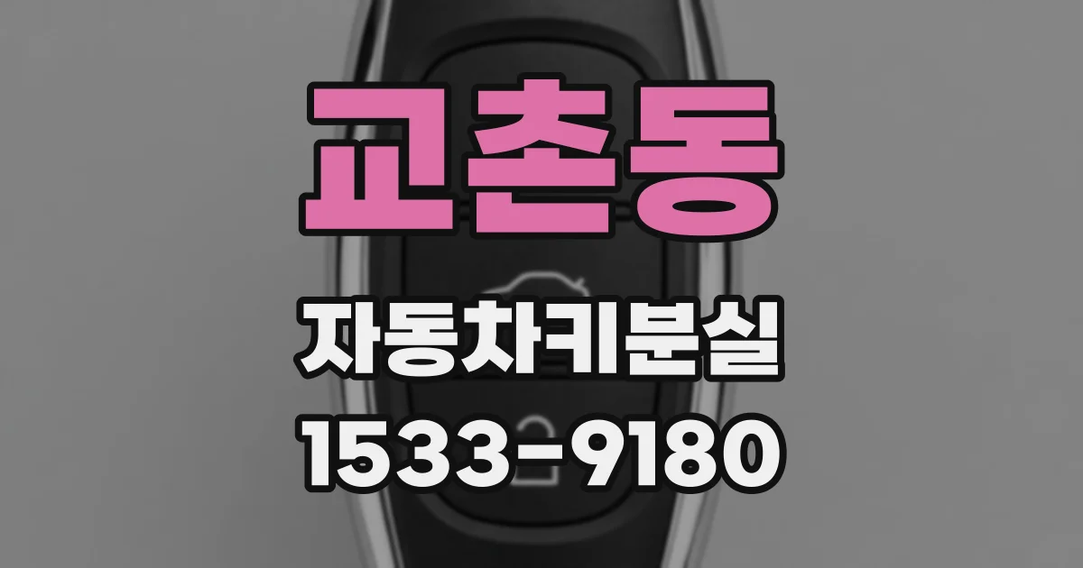 교촌동 자동차키분실