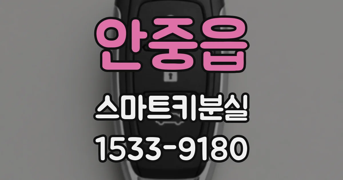 안중읍 스마트키분실