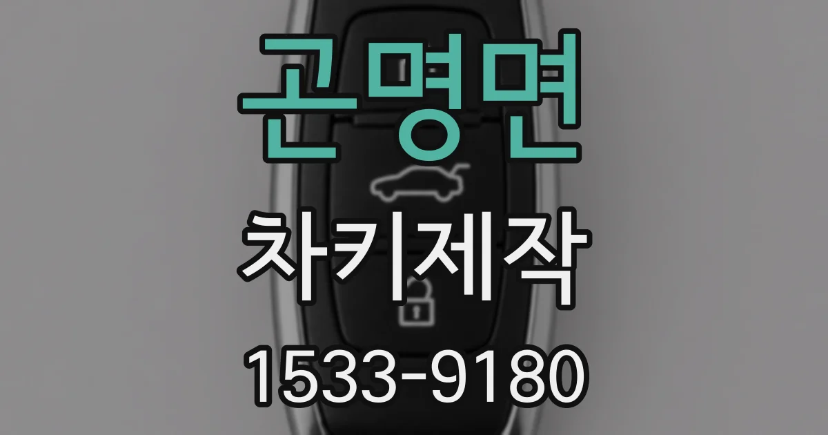 곤명면 차키제작