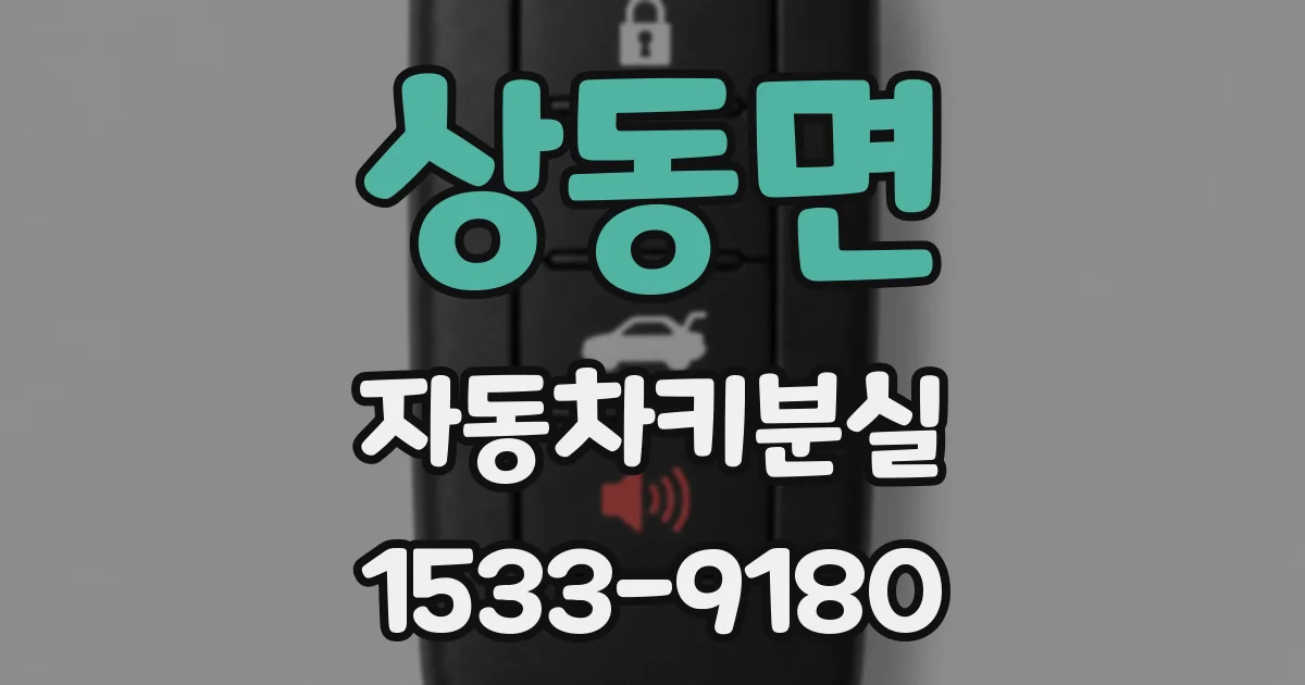 상동면 자동차키분실