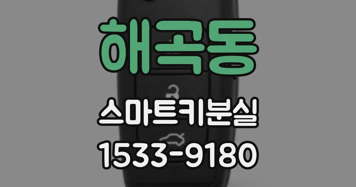 해곡동 스마트키분실