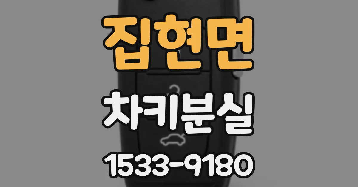 집현면 차키분실