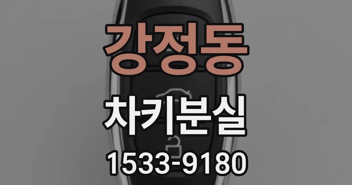 강정동 차키분실