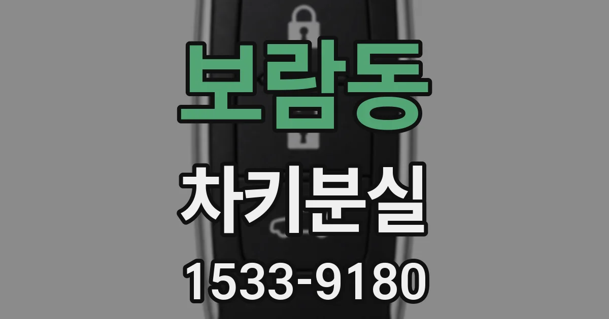 보람동 차키분실