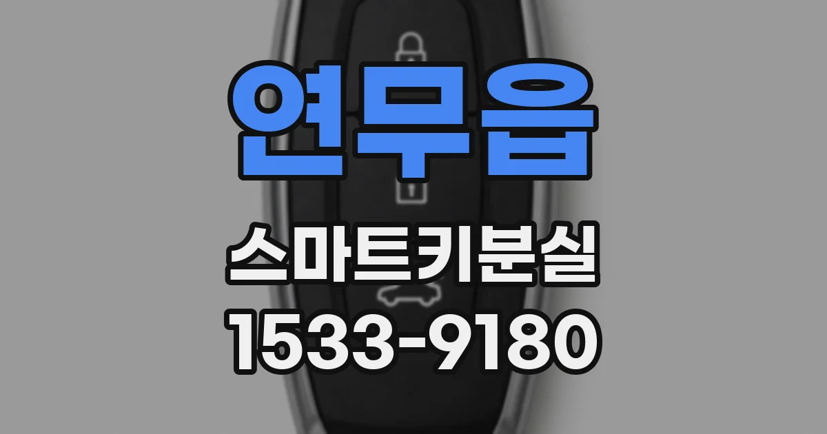 연무읍 스마트키분실
