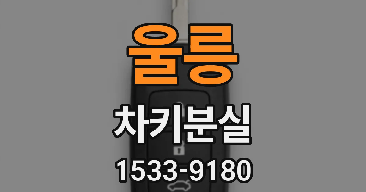 울릉 차키분실