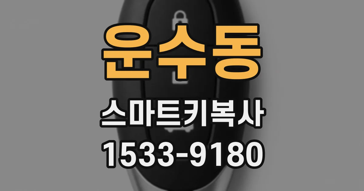 운수동 스마트키복사