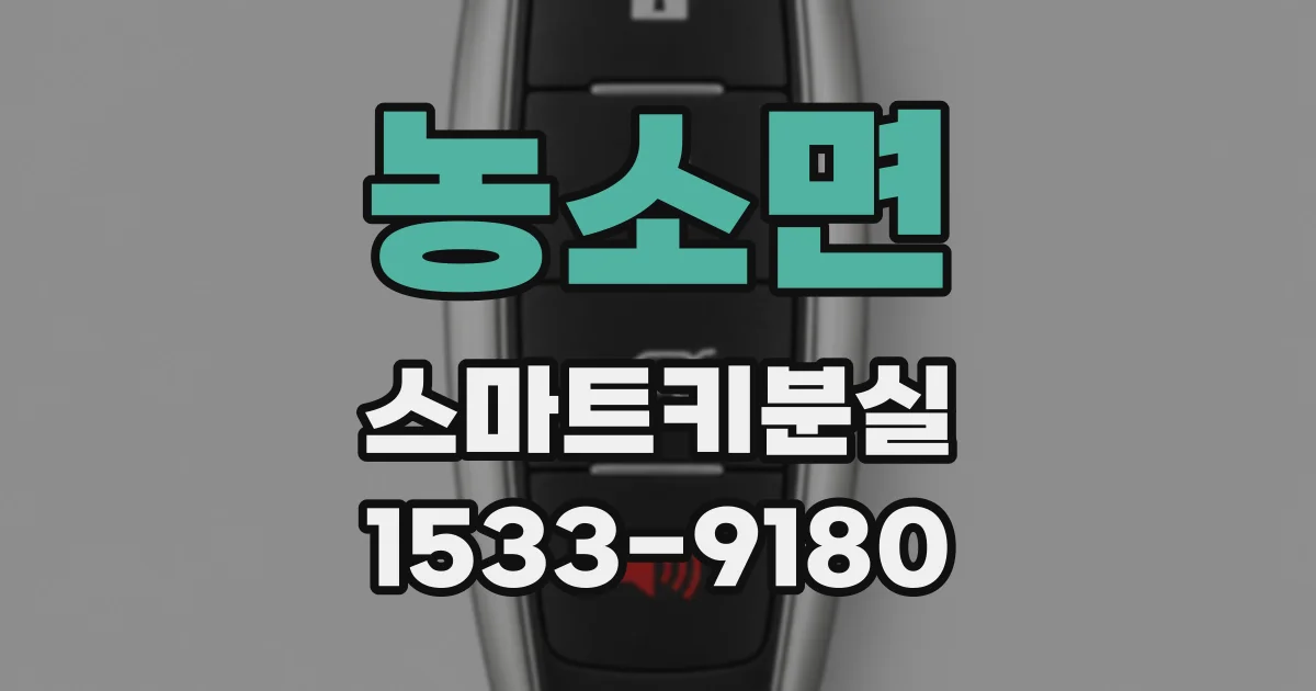농소면 스마트키분실