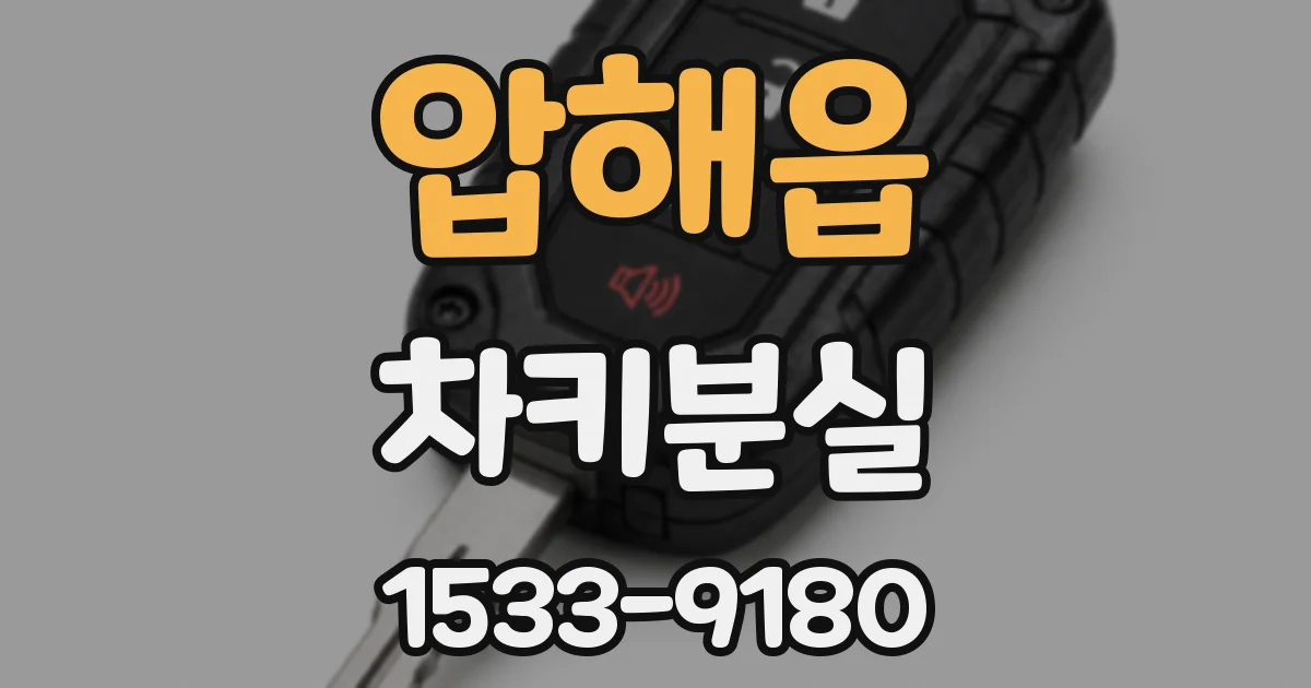 압해읍 차키분실