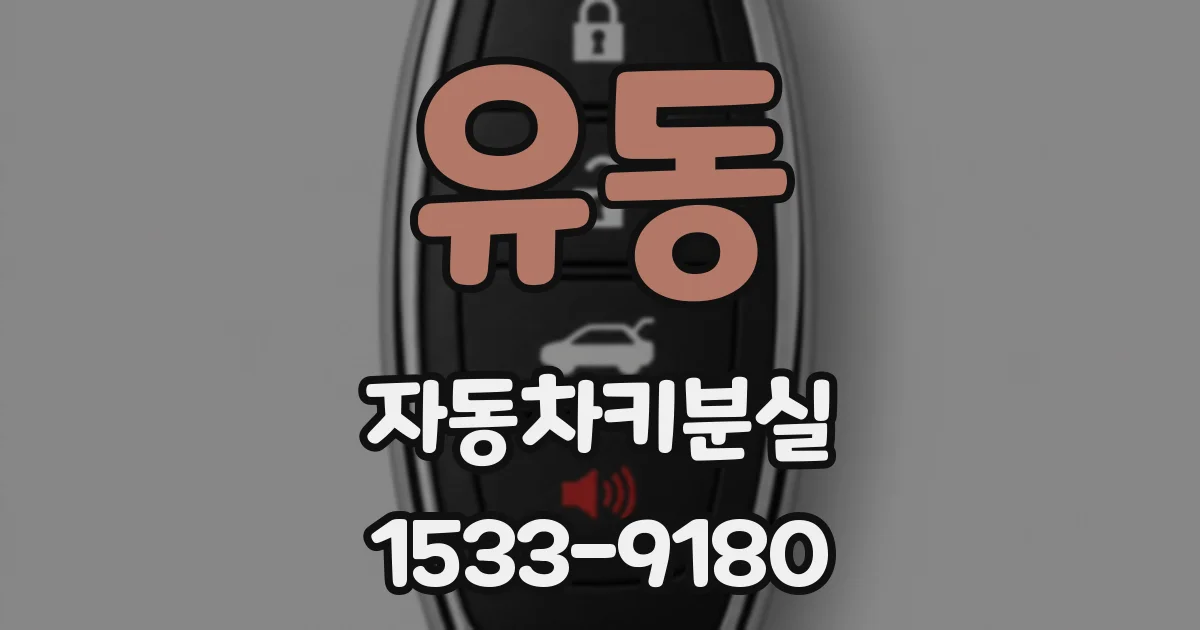 유동 자동차키분실