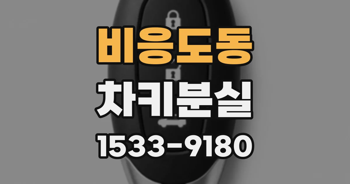 비응도동 차키분실