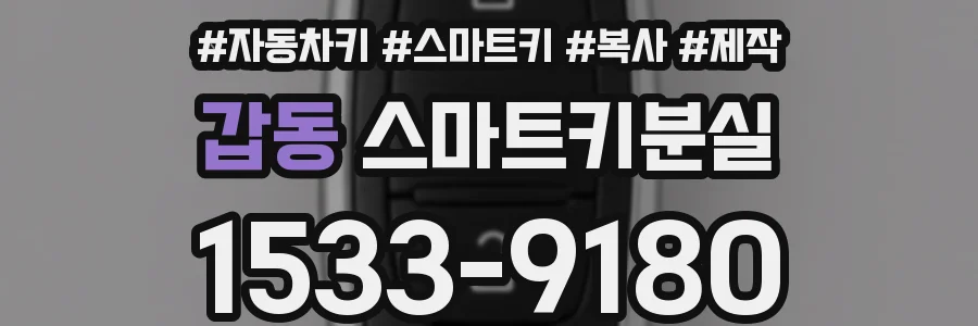갑동 스마트키분실