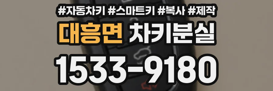 대흥면 차키분실